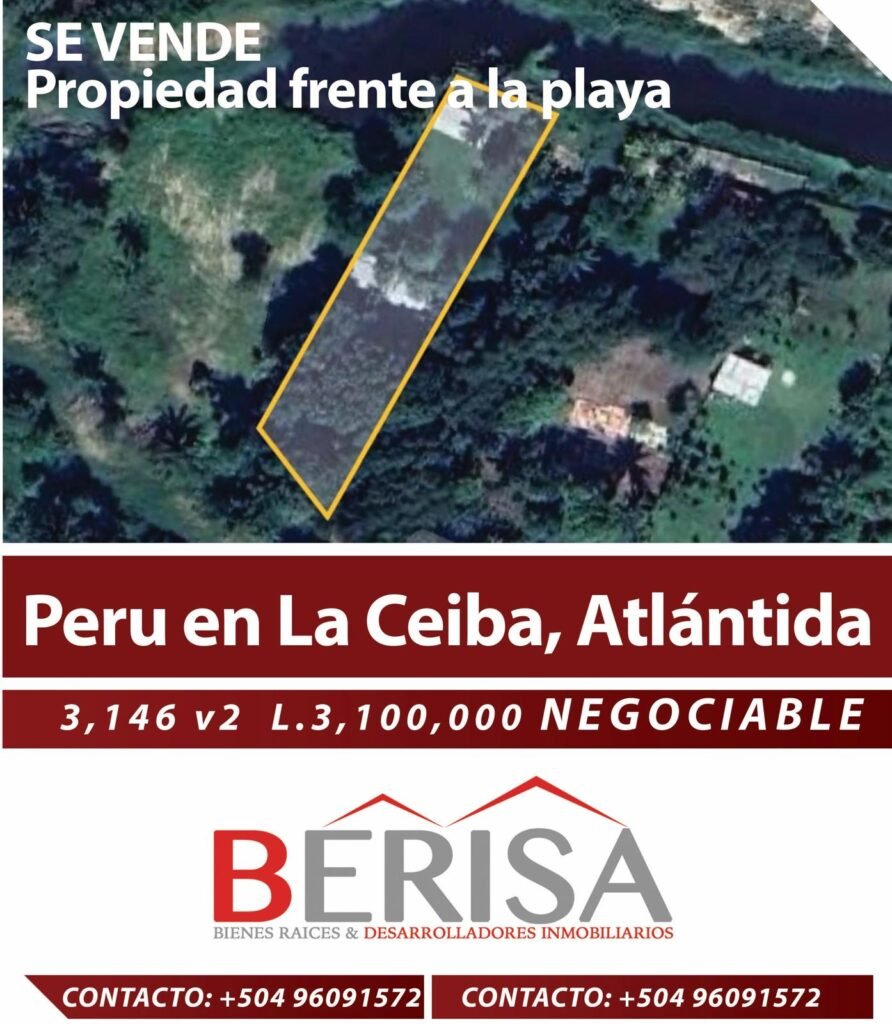 berisa peru boca vieja